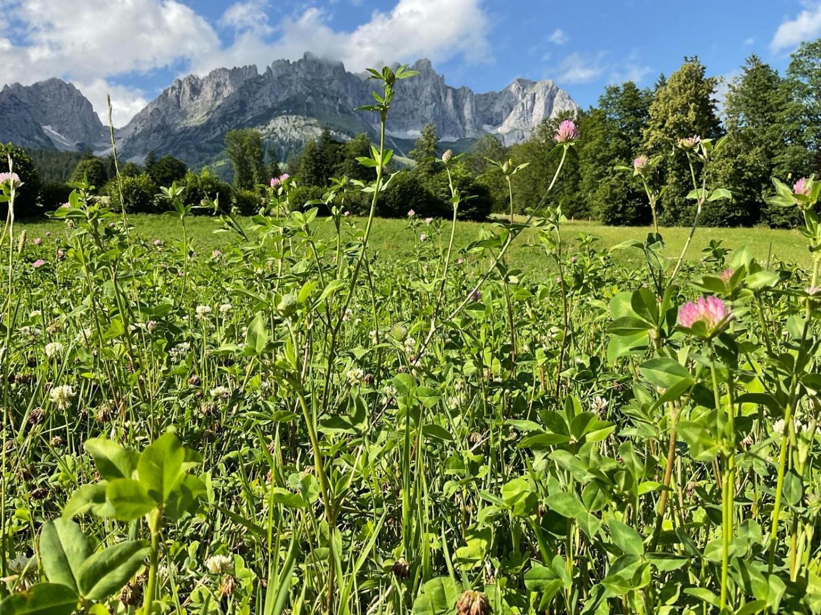 Stadtvilla Belle Kitz Im Zentrum Mit Sauna By Belle Stay Kitzbühel Esterno foto